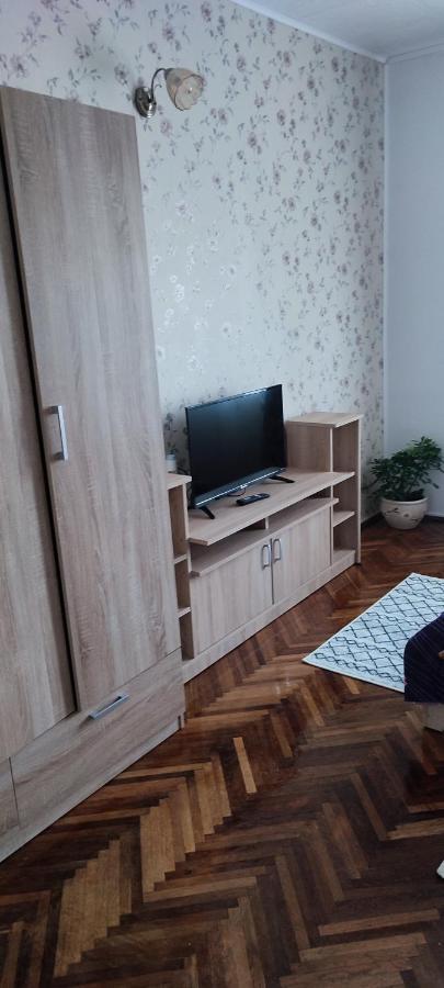 ホテル Casa Rebeca Orşova エクステリア 写真