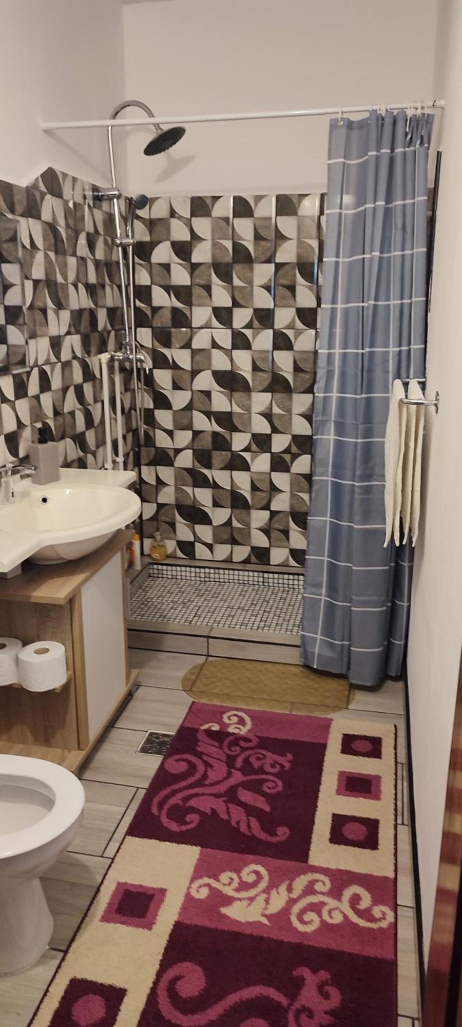 ホテル Casa Rebeca Orşova エクステリア 写真